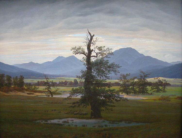 Caspar David Friedrich Landscape with Solitary Tree oil painting image